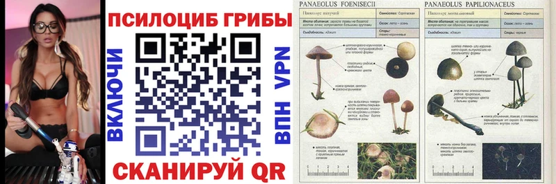 Галлюциногенные грибы ЛСД  Новоаннинский 